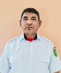 Desi Darius Bee